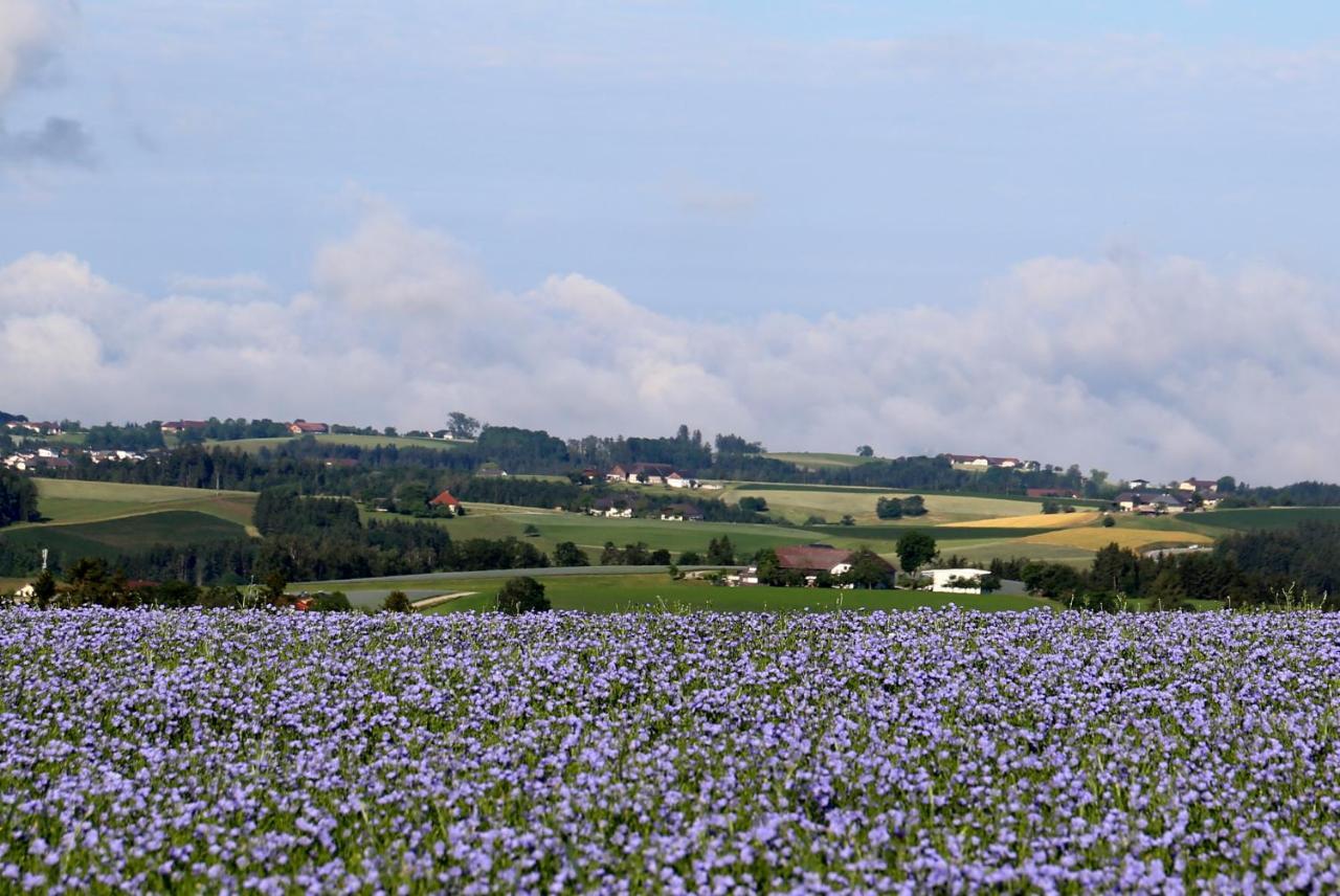 Ferienhof Neundlinger Niederwaldkirchen Exteriör bild
